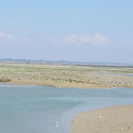 Superbe Studio Au Crotoy Acces Direct Plage Le Crotoy Bagian luar foto